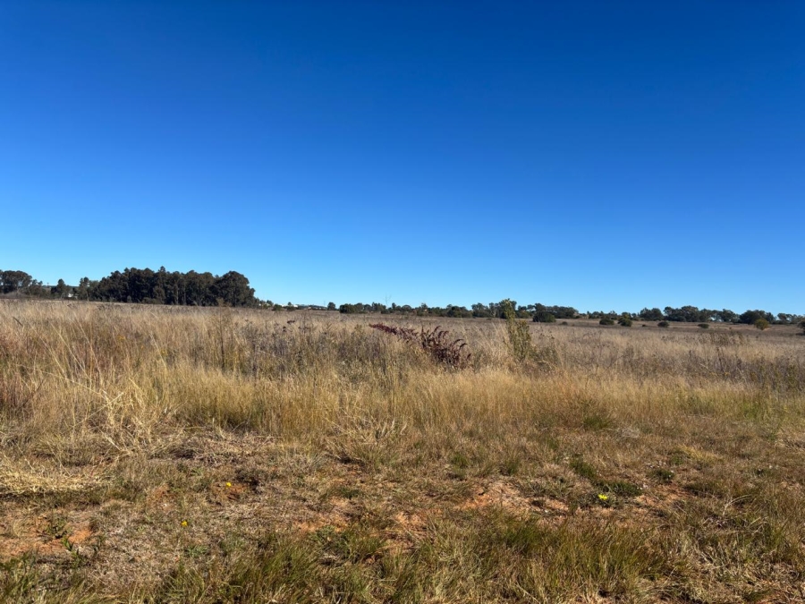 Commercial Property for Sale in Thaba Nchu Free State